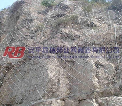 边坡防护勾花网 - 安平县瑞邦丝网制造有限公司