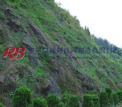 绿化勾花网