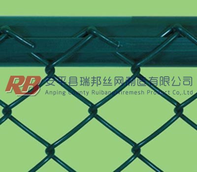 包塑丝勾花网 - 安平县瑞邦丝网制造有限公司